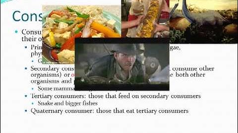 Communities and Ecosystems Part 01