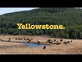 Camping in Yellowstone