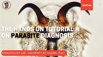 Smartlab - the How2 series on Parasitology - 2021