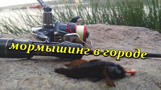 Открыл сезон мормышки! Бюджетный спиннинг Flagman Areata 552XUL для мормышинга. Субъективное мнение!