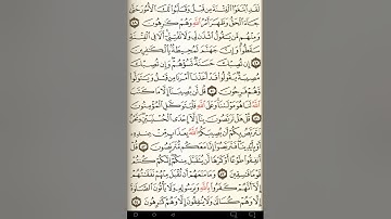 ماهر المعيقلي سورة التوبة مكتوبة صفحة 195 مصحف المدينة المنورة جودة عالية