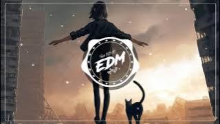 Dunn remix- dj china - nhạc tik tok gây nghiện hay nhất hiện nay