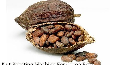 nut roasting machine for cocoa bean,cashew nut |cacao bean roaster machine test working  video