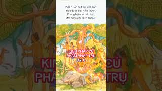 KINH PHÁP CÚ - PHẨM PHÁP TRỤ - Bài 8