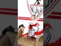 شاهد بنوتة زى العسل بتهتف للملكى تفضل امجادك قدام عينى