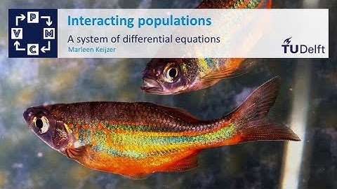 Modelling interaction - Mathematical Modelling - Mathematics - TU Delft