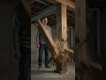 The Pest Problem That Turned Into a $15,000 Disaster #pestcontrol #pestcontrolbusiness  #googleads