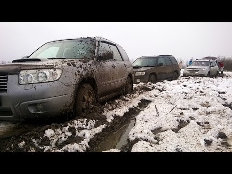 Видео: Субару Форестер разных поколений в грязи. Раскисшее поле. Бездорожье турбо оффроад