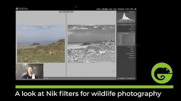 Lightroom - A basic look at monochrome conversion in Lightroom