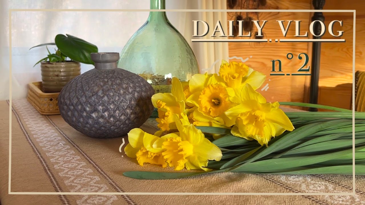 Vlog n°2 I Une journée printanière, bricolage, rempotage de plantes et cuisine