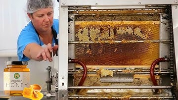 How Honey Is Made In Factory । Honey Manufacturing Process