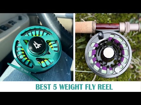 Best 5 Weight Fly Reel - Complete Buyer's Guide 