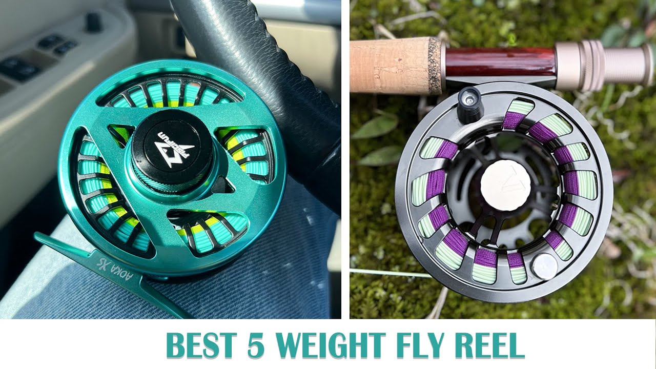 Best 5 Weight Fly Reel - Complete Buyer's Guide 