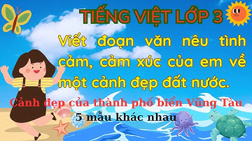 Viết đoạn văn nêu tình cảm, cảm xúc của em về một cảnh đẹp đất nước - cảnh đẹp biển Vũng Tàu - Lớp 3