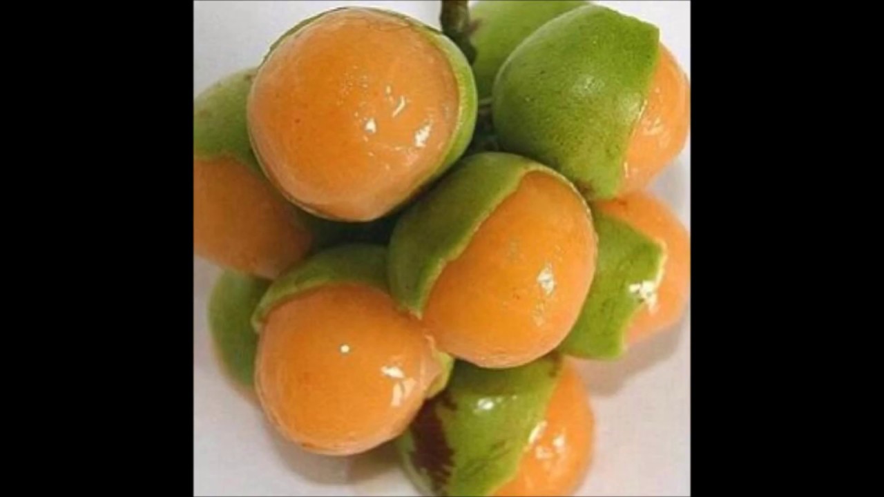 Where Can I Buy Guinep Fruit Near Me