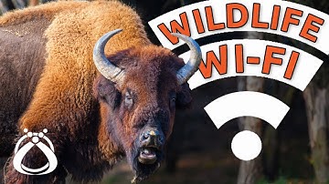 Nonprofit Network Design for under $1000 bucks!