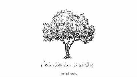 حالات واتس اب دينية /آيات من القرآن الكريم /بصوت القارئ الشيخ سلمان العتيبي