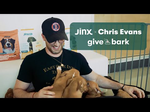 Jinx & Chris Evans: Rescuing Dogs at Animal Haven NYC