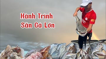 Hành trình đi câu con cá lớn #ductrainghiem  #fishing  #phuquocisland 