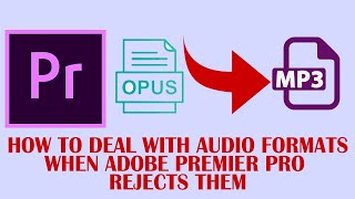 HOW TO CONVERT OPUS  FILES TO MP3 WHEN ADOBE PREMIER PRO REJECTS THEM screenshot 5