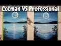 Winsor & Newton Cotman VS Professional Watercolor Comparison & Review