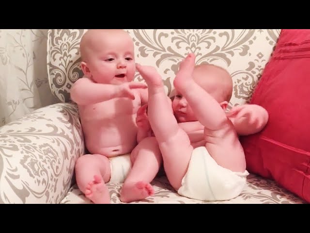 Principais irritados bebês engraçados - Funniest Home Videos 