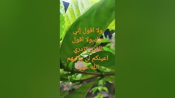 #تلاوة خاشعة لسورة هود الآية 31 من المصحف الشريف        💐💐💐