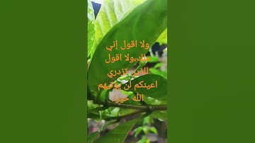 #تلاوة خاشعة لسورة هود الآية 31 من المصحف الشريف        💐💐💐