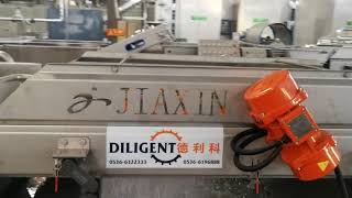 Root vegetable processing  line20180913