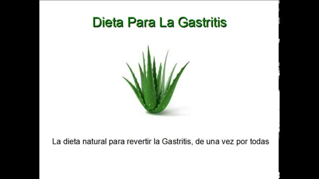 Алоэ арбуэ картинка