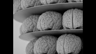 Scientists discover that eating fish makes you smarter, helps you sleep better