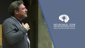 Gating pain; from normal to pathological transmission, Yves De Koninck