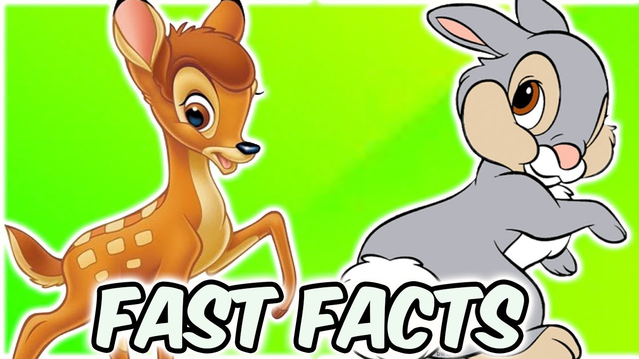 5 Fast Facts About Bambi Disney Explained YouTube 5 Fast Facts About Bambi Disney Explained YouTube