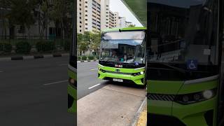 Cameo! SBS Transit BYD BC12A04 Zhuhai Electric 3 Door Departing Bus Stop SG3277L