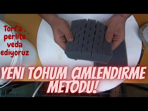 Video: Moskova fide yetiştirme yöntemi - topraksız yöntem