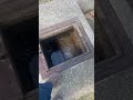 Cleaning a pipe with a vac truck￼