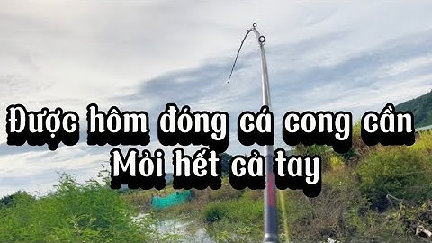 Câu cá lóc - lên lại điểm huyền thoại đóng cá mỏi tay #giaitribinhthuan #fishing #cauca #câulure