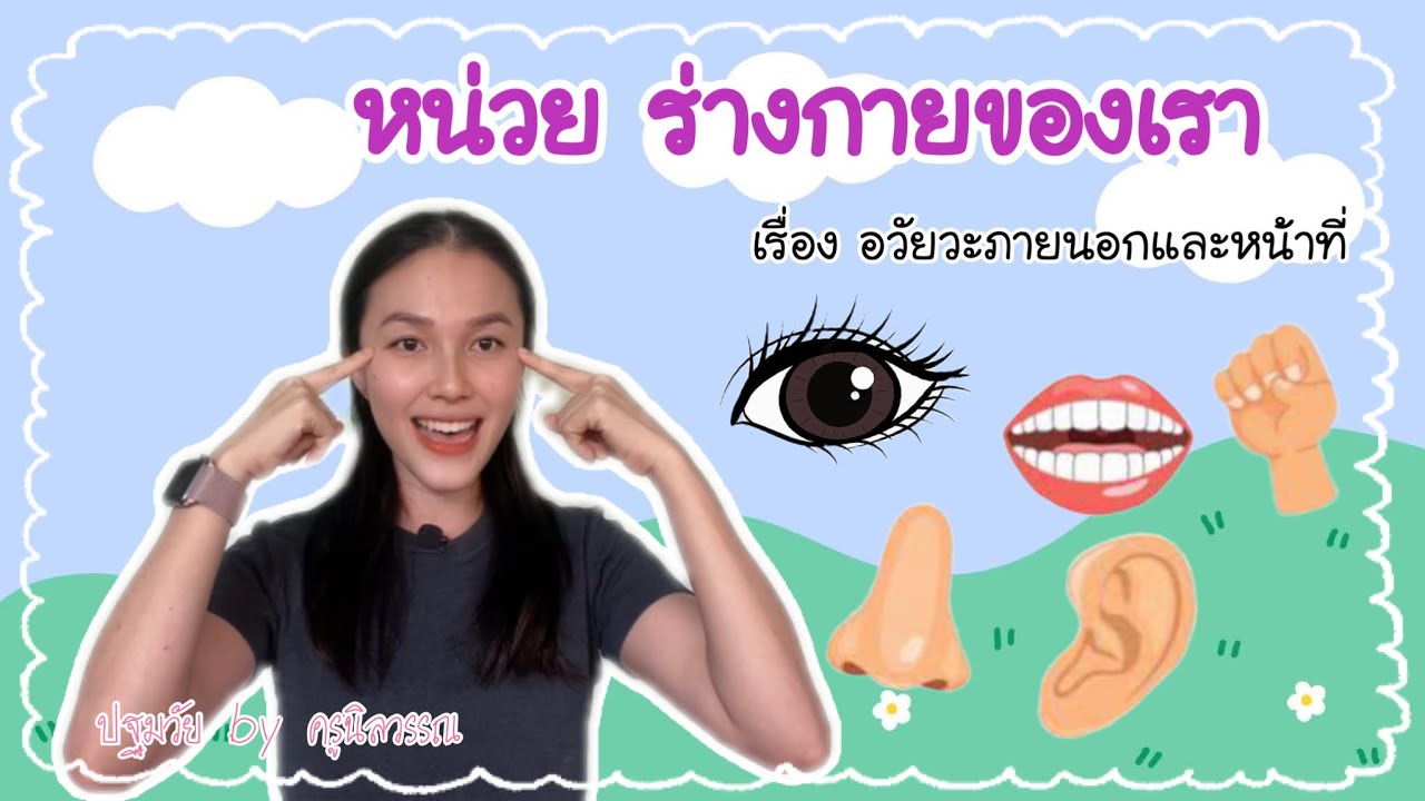 เรียนรู้หน่วย ร่างกายของเรา เรื่องอวัยวะภายนอกร่างกายและหน้าที่