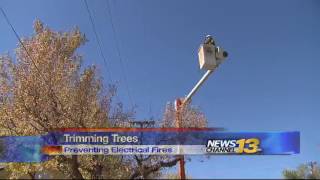 COS Utilities preparing power lines for winter
