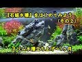 No.019　『石組水槽』をはじめてみよう（その２）スリム水槽立ち上げ～1ヶ月まで