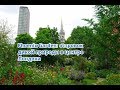 Островок дикой природы в центре Лондона: садик Phoenix Garden вместо парковки