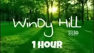 Windy Hill - NHẠC THỰC HÀNH LÒNG BIẾT ƠN - THU HÚT TIỀN BẠC - THỊNH VƯỢNG - THÀNH CÔNG - HẠNH PHÚC