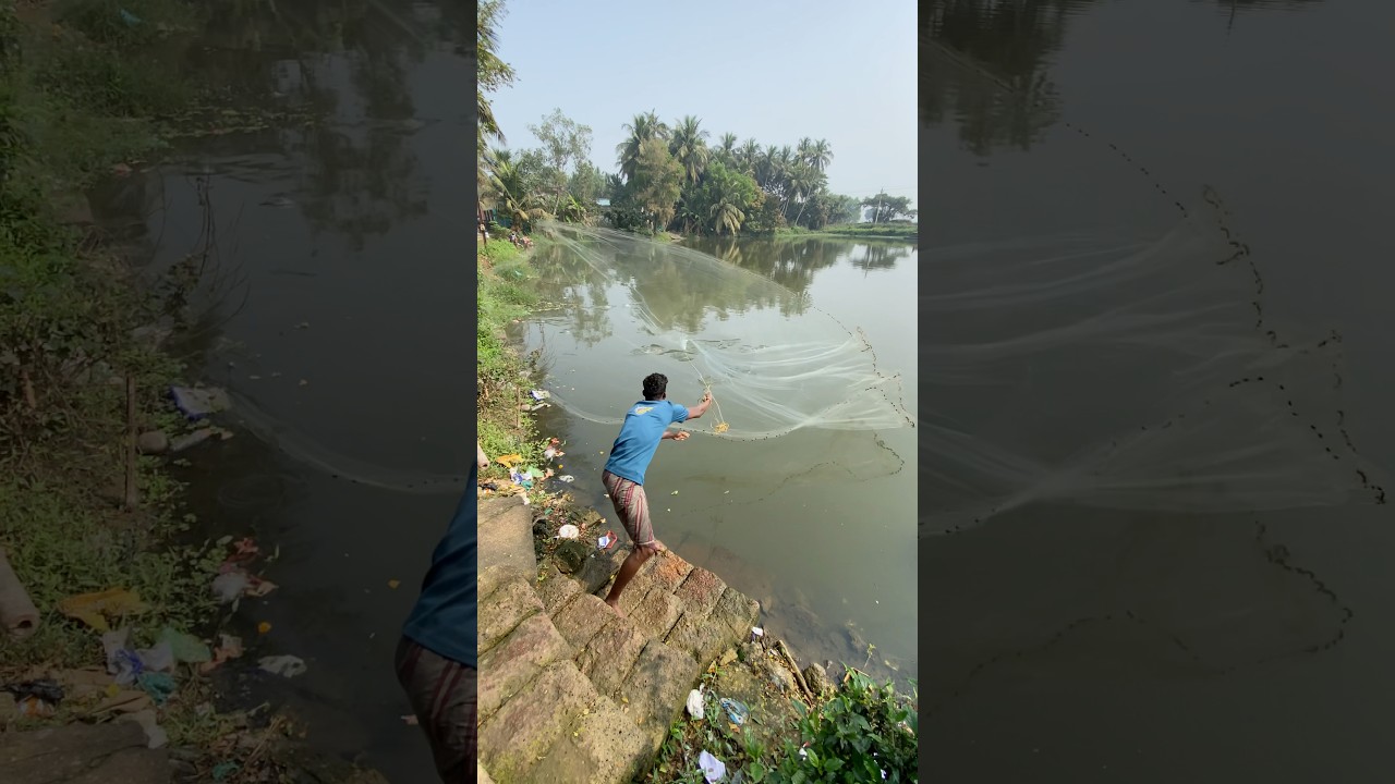 1.5 tons fish catching video-fishing.