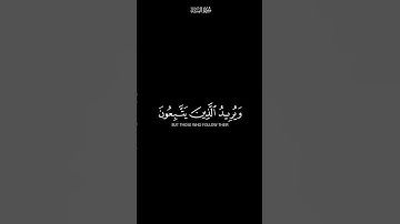 والله يريد ان يتوب عليكم | كرومات شاشة سوداء القران الكريم | القارئ ياسر الدوسري