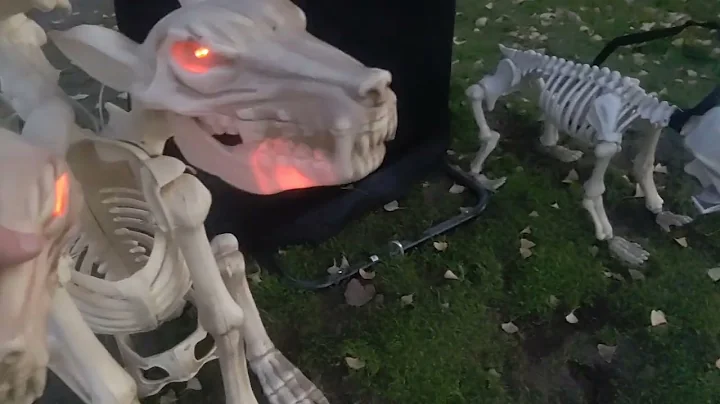 Taliaferro Halloween 2021