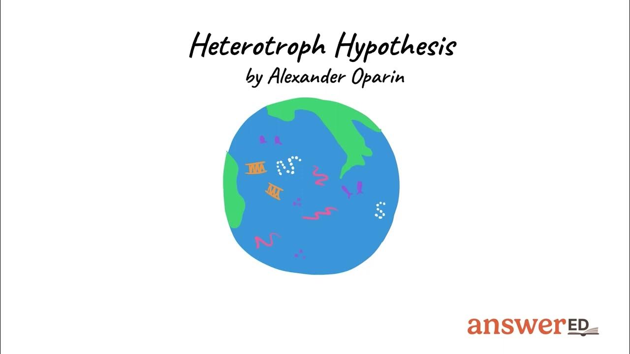 heterotroph hypothesis steps