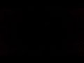 Ad Shit Ongo Ad Shit Ongo