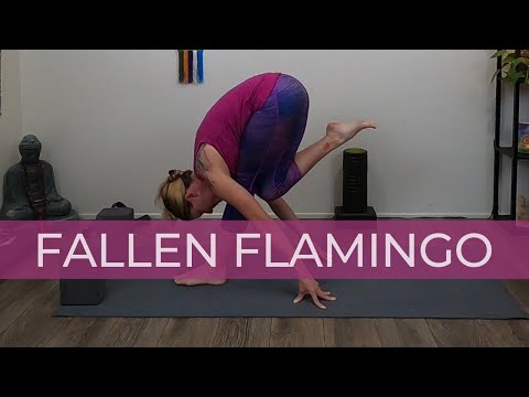 1,121 Likes, 12 Comments - Suzy | Yoga Tutorials (@bringmeyoga) on  Instagram: “FLAMINGO POSE TUTORIAL 🦩 🦩 🦩 Let m… | Yoga poses, Workout  challenge, Yoga tutorial