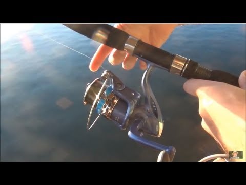 Vídeo: Como Pescar Com Uma Vara Giratória Em