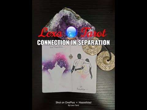 ?LEO~CONNECTIONS IN SEPARATION?❤Their Blockages in Your Connection & Solution❤